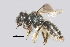  ( - IAE109750)  @11 [ ] CreativeCommons  Attribution Non-Commercial Share-Alike (2022) David Cappaert Institute for Applied Ecology