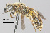  ( - IAE109888)  @11 [ ] CreativeCommons  Attribution Non-Commercial Share-Alike (2022) David Cappaert Institute for Applied Ecology