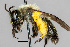  ( - IAE200014)  @11 [ ] CreativeCommons  Attribution Non-Commercial Share-Alike (2022) David Cappaert Institute for Applied Ecology