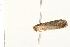  ( - 08-IARI-0003)  @12 [ ] CreativeCommons - Attribution (2008) Unspecified Centre for Biodiversity Genomics