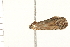  ( - 08-IARI-0006)  @12 [ ] CreativeCommons - Attribution (2008) Unspecified Centre for Biodiversity Genomics