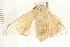  ( - 08-IARI-0023)  @12 [ ] CreativeCommons - Attribution (2008) Unspecified Centre for Biodiversity Genomics