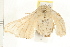  ( - 08-IARI-0037)  @12 [ ] CreativeCommons - Attribution (2008) Unspecified Centre for Biodiversity Genomics