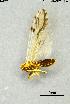  ( - INV14720)  @11 [ ] Creative Commons Attribution NonCommercial ShareAlike (2024) (2024) Research Center in Biodiversity and Genetic Resources Research Center in Biodiversity and Genetic Resources