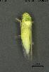 ( - INV18014)  @11 [ ] Creative Commons Attribution NonCommercial ShareAlike (2023) (2024) Research Center in Biodiversity and Genetic Resources Research Center in Biodiversity and Genetic Resources