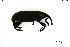  ( - INV09565)  @11 [ ] Creative Commons Attribution NonCommercial ShareAlike (2023) (2024) Research Center in Biodiversity and Genetic Resources Research Center in Biodiversity and Genetic Resources