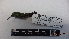  ( - IAvH-BT 4701)  @12 [ ] CreativeCommons - Attribution Non-Commercial Share-Alike (2013) Instituto Humboldt Unspecified