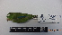  ( - IAvH-BT 2374)  @13 [ ] CreativeCommons - Attribution Non-Commercial Share-Alike (2013) Instituto Humboldt Unspecified