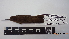  ( - IAvH-BT 5334)  @12 [ ] CreativeCommons - Attribution Non-Commercial Share-Alike (2013) Instituto Humboldt Unspecified