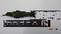 (Florisuga mellivora - IAvH-BT 1650)  @11 [ ] CreativeCommons - Attribution Non-Commercial Share-Alike (2013) Instituto Humboldt Unspecified