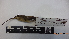  ( - IAvH-BT 3493)  @12 [ ] CreativeCommons - Attribution Non-Commercial Share-Alike (2013) Instituto Humboldt Unspecified