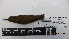  ( - IAvH-BT 3578)  @12 [ ] CreativeCommons - Attribution Non-Commercial Share-Alike (2013) Instituto Humboldt Unspecified