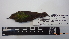  ( - IAvH-BT 2535)  @13 [ ] CreativeCommons - Attribution Non-Commercial Share-Alike (2013) Instituto Humboldt Unspecified