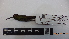  ( - IAvH-BT 2446)  @12 [ ] CreativeCommons - Attribution Non-Commercial Share-Alike (2013) Instituto Humboldt Unspecified