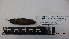  ( - IAvH-BT 797)  @12 [ ] CreativeCommons - Attribution Non-Commercial Share-Alike (2013) Instituto Humboldt Unspecified