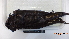 ( - IAvH-BT 6863)  @12 [ ] CreativeCommons - Attribution Non-Commercial Share-Alike (2013) Instituto Humboldt Unspecified