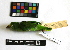  ( - IAvH-CT 14693)  @11 [ ] CreativeCommons - Attribution Share-Alike (2014) Unspecified Instituto de Investigacion de Recursos Biologicos Alexander von Humboldt