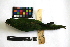  ( - IAvH-CT 14722)  @11 [ ] CreativeCommons - Attribution Share-Alike (2014) Unspecified Instituto de Investigacion de Recursos Biologicos Alexander von Humboldt
