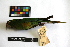 (Leptosittaca - IAvH-CT 14722)  @11 [ ] CreativeCommons - Attribution Share-Alike (2014) Unspecified Instituto de Investigacion de Recursos Biologicos Alexander von Humboldt