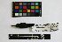 ( - IAvH-CT 405)  @12 [ ] CreativeCommons - Attribution Share-Alike (2014) Unspecified Instituto de Investigacion de Recursos Biologicos Alexander von Humboldt