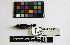  (Hylocharis cyanus - IAvH-CT 405)  @12 [ ] CreativeCommons - Attribution Share-Alike (2014) Unspecified Instituto de Investigacion de Recursos Biologicos Alexander von Humboldt
