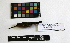  ( - IAvH-CT 485)  @12 [ ] CreativeCommons - Attribution Share-Alike (2014) Unspecified Instituto de Investigacion de Recursos Biologicos Alexander von Humboldt