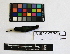  ( - IAvH-CT 780)  @12 [ ] CreativeCommons - Attribution Share-Alike (2014) Unspecified Instituto de Investigacion de Recursos Biologicos Alexander von Humboldt