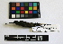  ( - IAvH-CT 8127)  @12 [ ] CreativeCommons - Attribution Share-Alike (2014) Unspecified Instituto de Investigacion de Recursos Biologicos Alexander von Humboldt