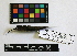  ( - IAvH-CT 8127)  @12 [ ] CreativeCommons - Attribution Share-Alike (2014) Unspecified Instituto de Investigacion de Recursos Biologicos Alexander von Humboldt