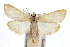  ( - IAWAZ-0461)  @14 [ ] CreativeCommons - Attribution (2009) Unspecified Centre for Biodiversity Genomics