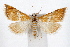  ( - IAWAZ-0668.3)  @11 [ ] CreativeCommons - Attribution (2009) Unspecified Centre for Biodiversity Genomics