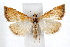  ( - IAWAZ-0668.4)  @14 [ ] CreativeCommons - Attribution (2009) Unspecified Centre for Biodiversity Genomics