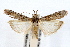  ( - IAWAZ-0692.1)  @14 [ ] CreativeCommons - Attribution (2009) Unspecified Centre for Biodiversity Genomics