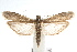  ( - IAWAZ-0349.1)  @14 [ ] CreativeCommons - Attribution (2009) Unspecified Centre for Biodiversity Genomics