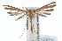  ( - IAWAZ-0708)  @15 [ ] CreativeCommons - Attribution (2009) Unspecified Centre for Biodiversity Genomics