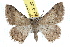  ( - IAWAZ-0720)  @14 [ ] CreativeCommons - Attribution (2009) Unspecified Centre for Biodiversity Genomics
