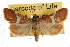  ( - IAWAZ-0740)  @14 [ ] CreativeCommons - Attribution (2009) Unspecified Centre for Biodiversity Genomics