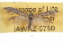  ( - IAWAZ-0750)  @13 [ ] CreativeCommons - Attribution (2009) Unspecified Centre for Biodiversity Genomics