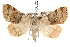  ( - IAWAZ-0020)  @14 [ ] CreativeCommons - Attribution (2009) Unspecified Centre for Biodiversity Genomics