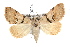  ( - IAWAZ-0024)  @14 [ ] CreativeCommons - Attribution (2009) Unspecified Centre for Biodiversity Genomics