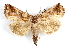  ( - IAWAZ-0034)  @14 [ ] CreativeCommons - Attribution (2009) Unspecified Centre for Biodiversity Genomics