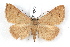  ( - IAWAZ-0047)  @14 [ ] CreativeCommons - Attribution (2009) Unspecified Centre for Biodiversity Genomics