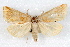  ( - IAWAZ-0050)  @13 [ ] CreativeCommons - Attribution (2009) Unspecified Centre for Biodiversity Genomics