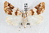  ( - IAWAZ-0059)  @14 [ ] CreativeCommons - Attribution (2009) Unspecified Centre for Biodiversity Genomics