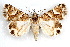  ( - IAWAZ-0122)  @11 [ ] CreativeCommons - Attribution (2009) Unspecified Centre for Biodiversity Genomics
