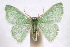  ( - IAWAZ-0258.1)  @14 [ ] CreativeCommons - Attribution (2009) Unspecified Centre for Biodiversity Genomics