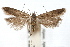  ( - IAWAZ-0310)  @13 [ ] CreativeCommons - Attribution (2009) Unspecified Centre for Biodiversity Genomics