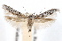 ( - IAWAZ-0430.1)  @11 [ ] CreativeCommons - Attribution (2009) Unspecified Centre for Biodiversity Genomics