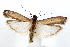  ( - IAWAZ-0615.2)  @13 [ ] CreativeCommons - Attribution (2009) Unspecified Centre for Biodiversity Genomics