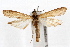  ( - IAWAZ-0652)  @14 [ ] CreativeCommons - Attribution (2009) Unspecified Centre for Biodiversity Genomics